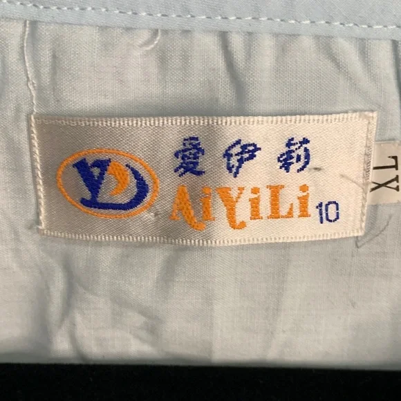 Light Blue Embroidered Blouse - Picture 2 of 9